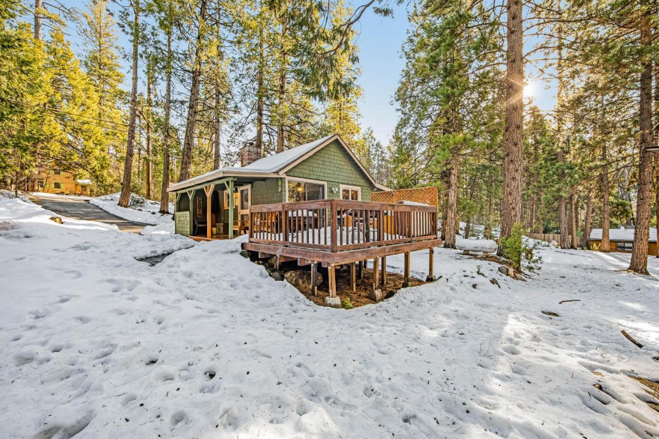 Hotel Creekside Cabin Idyllwild Zewnętrze zdjęcie