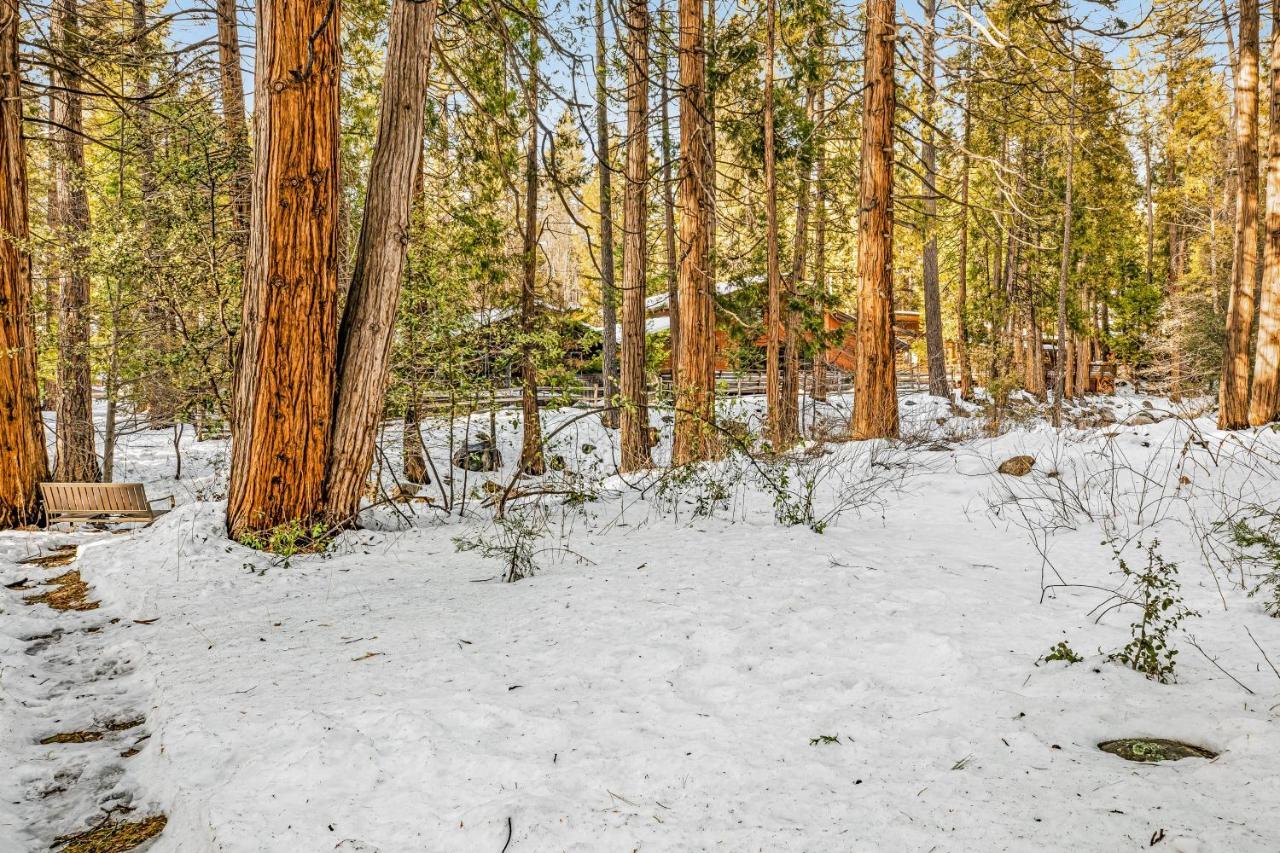 Hotel Creekside Cabin Idyllwild Zewnętrze zdjęcie