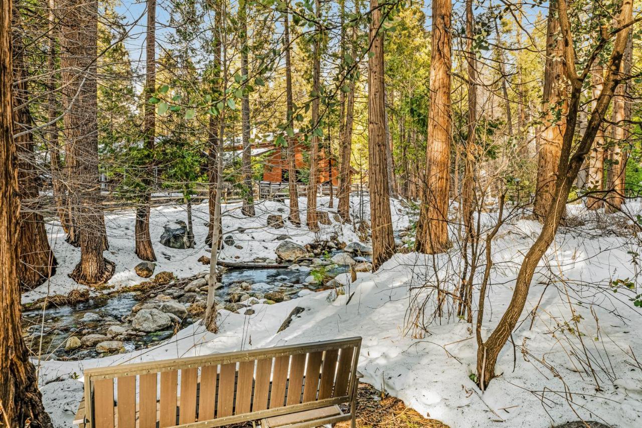 Hotel Creekside Cabin Idyllwild Zewnętrze zdjęcie