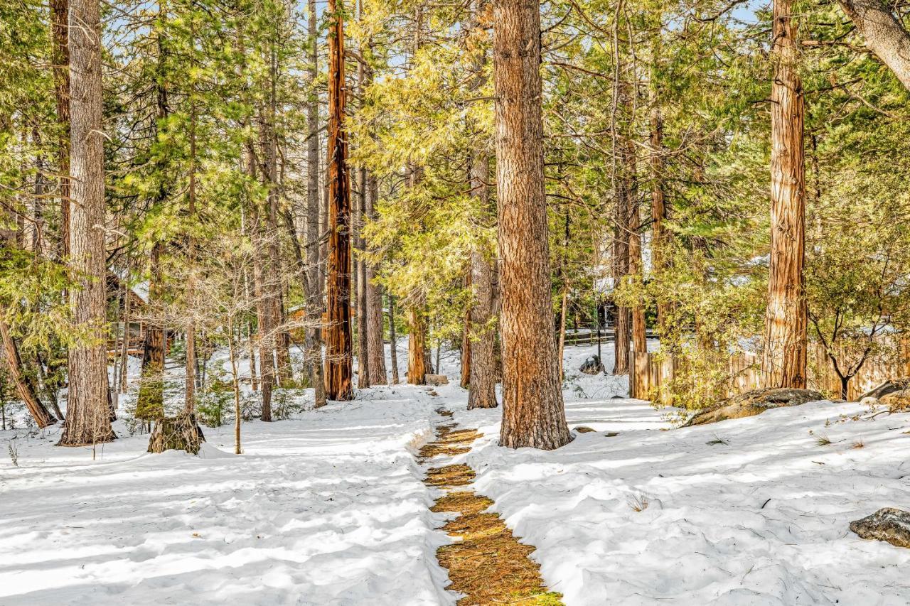 Hotel Creekside Cabin Idyllwild Zewnętrze zdjęcie