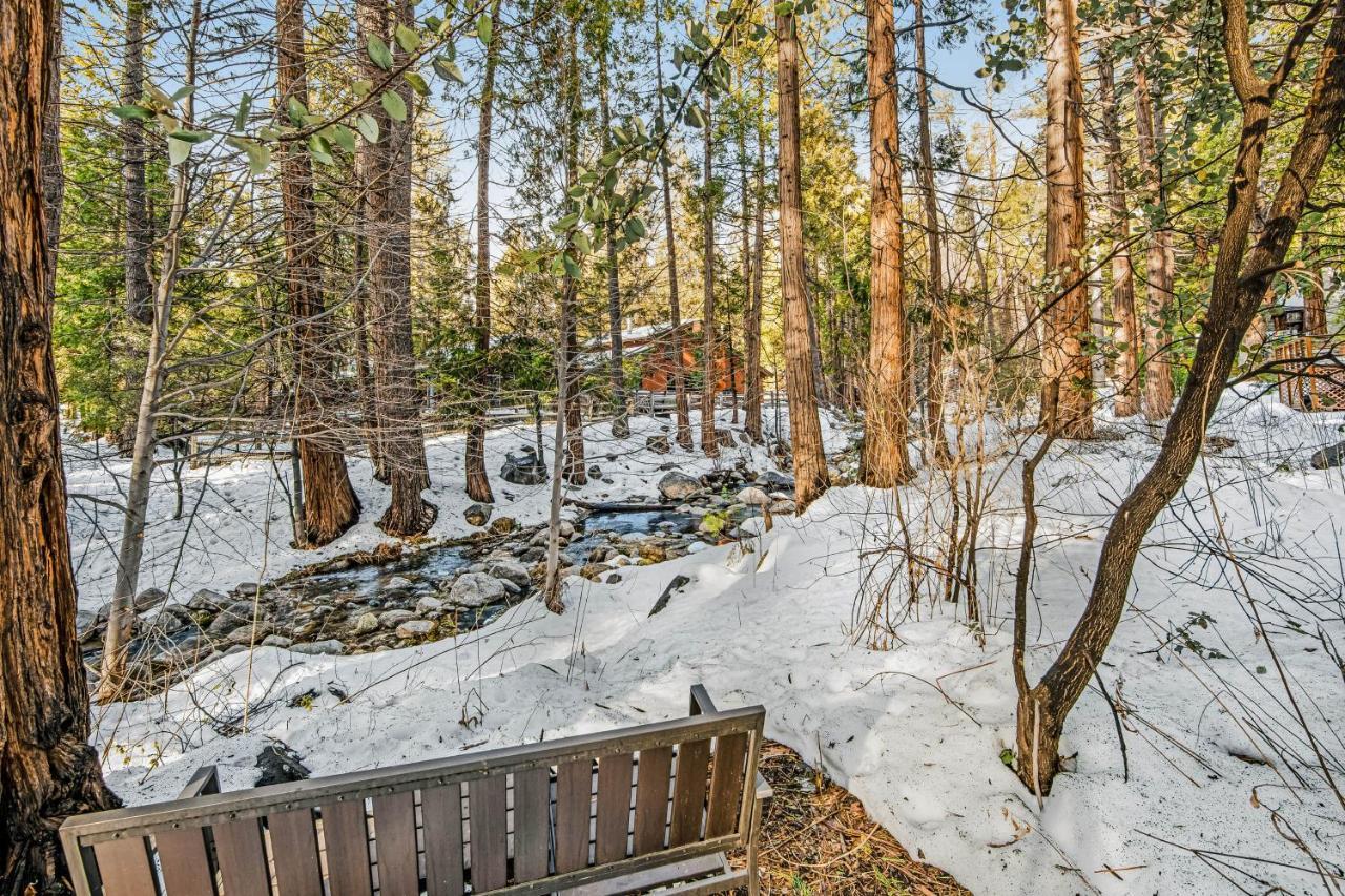 Hotel Creekside Cabin Idyllwild Zewnętrze zdjęcie