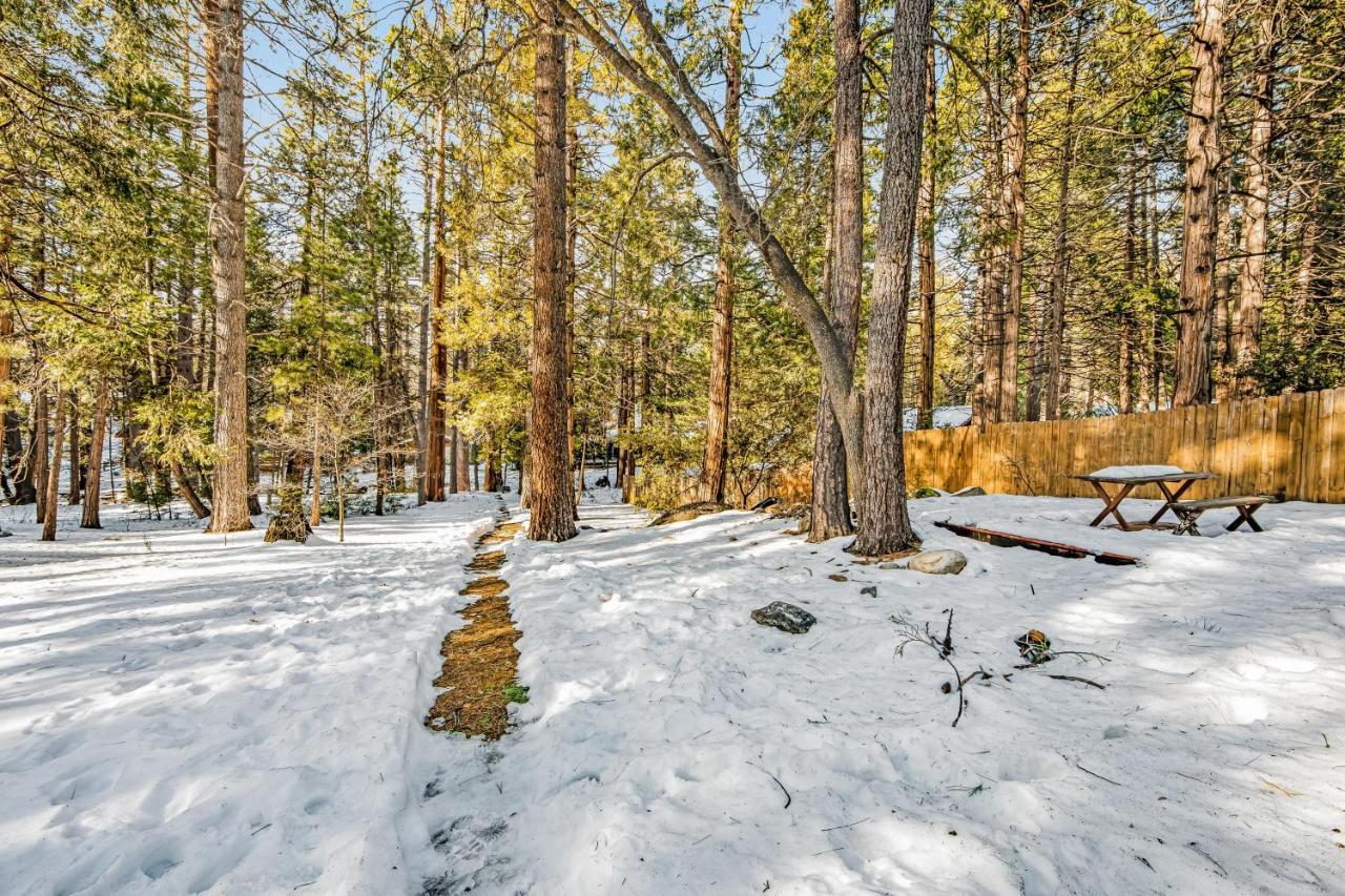 Hotel Creekside Cabin Idyllwild Zewnętrze zdjęcie